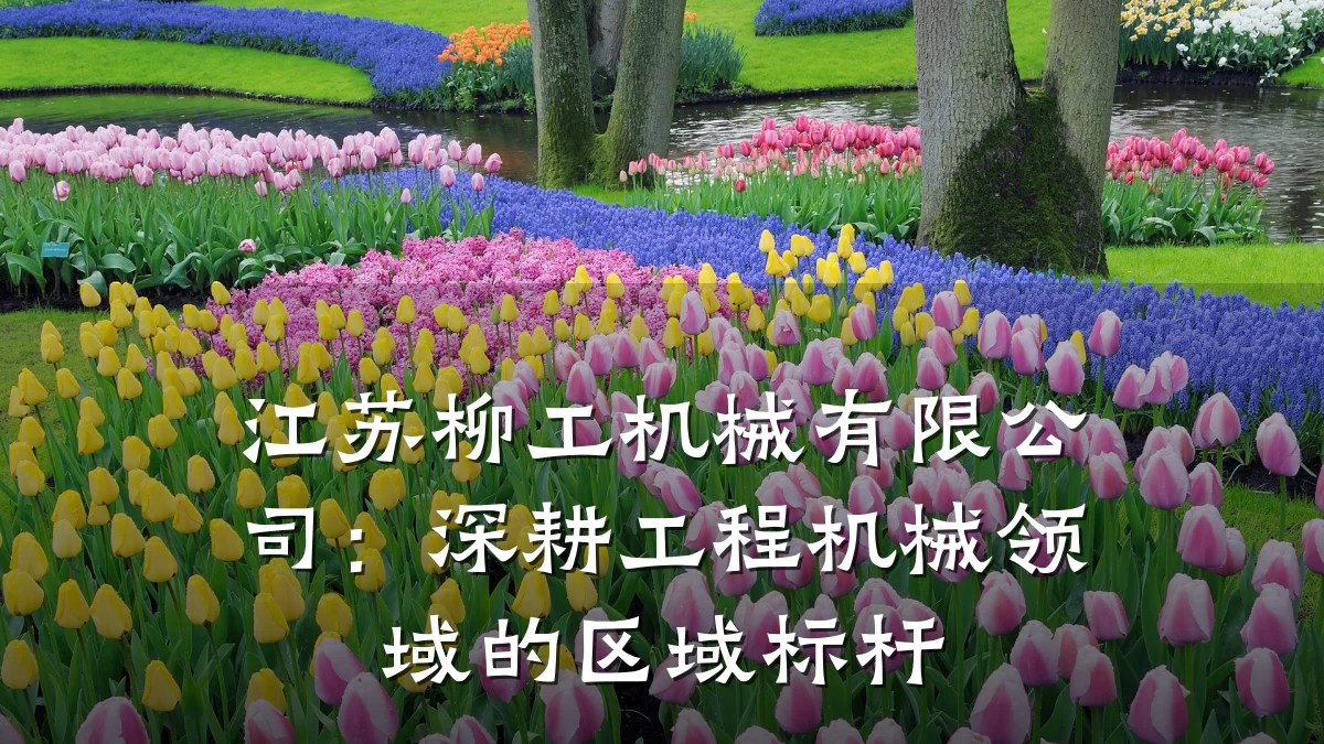 江苏柳工机械有限公司：深耕工程机械领域的区域标杆