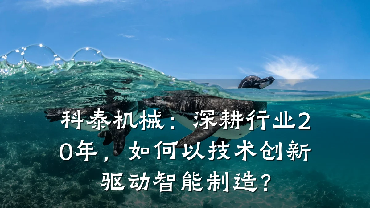 科泰机械：深耕行业20年，如何以技术创新驱动智能制造？