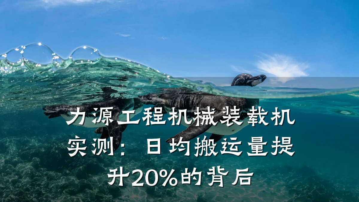 力源工程机械装载机实测：日均搬运量提升20%的背后