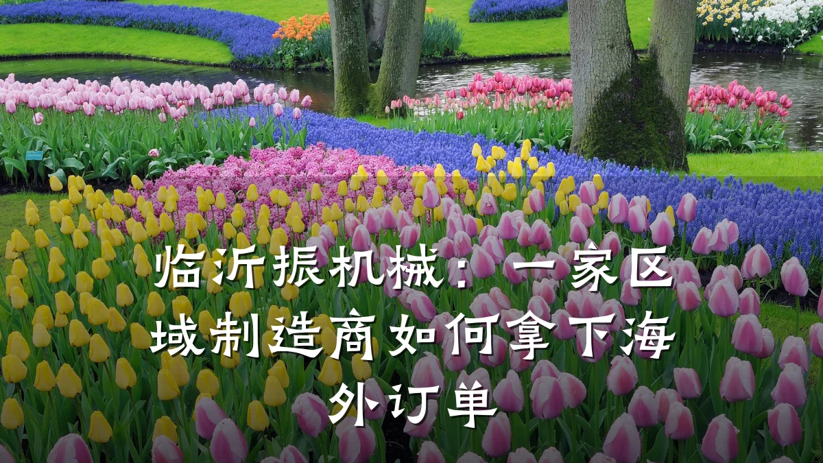 临沂振机械：一家区域制造商如何拿下海外订单