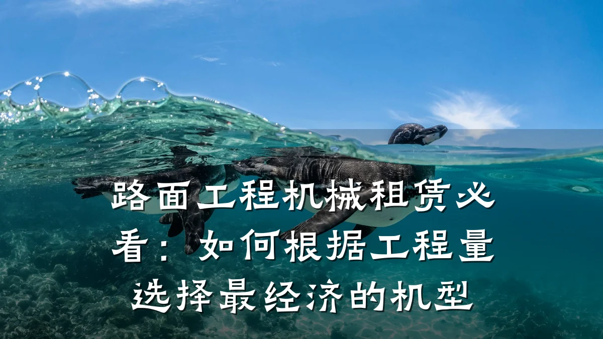 路面工程机械租赁必看：如何根据工程量选择最经济的机型