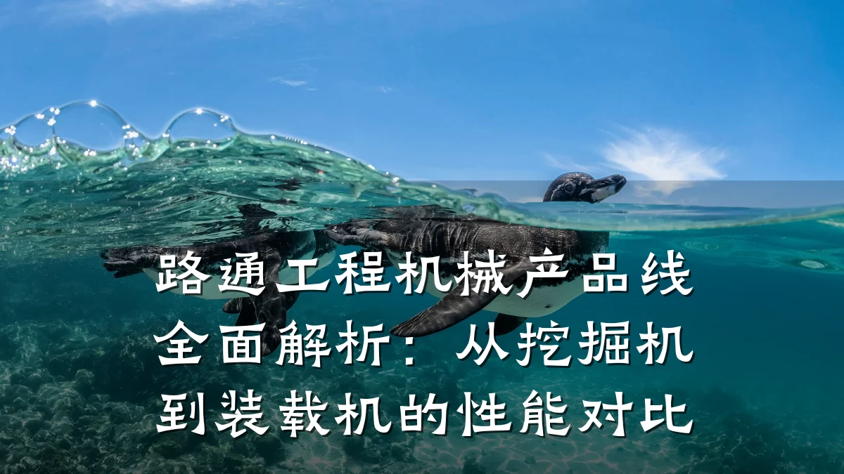 路通工程机械产品线全面解析：从挖掘机到装载机的性能对比
