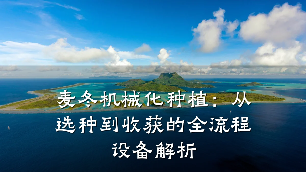 麦冬机械化种植：从选种到收获的全流程设备解析
