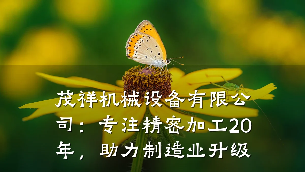 茂祥机械设备有限公司：专注精密加工20年，助力制造业升级