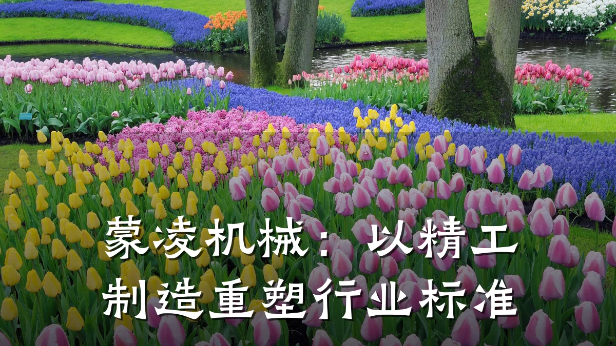 蒙凌机械：以精工制造重塑行业标准