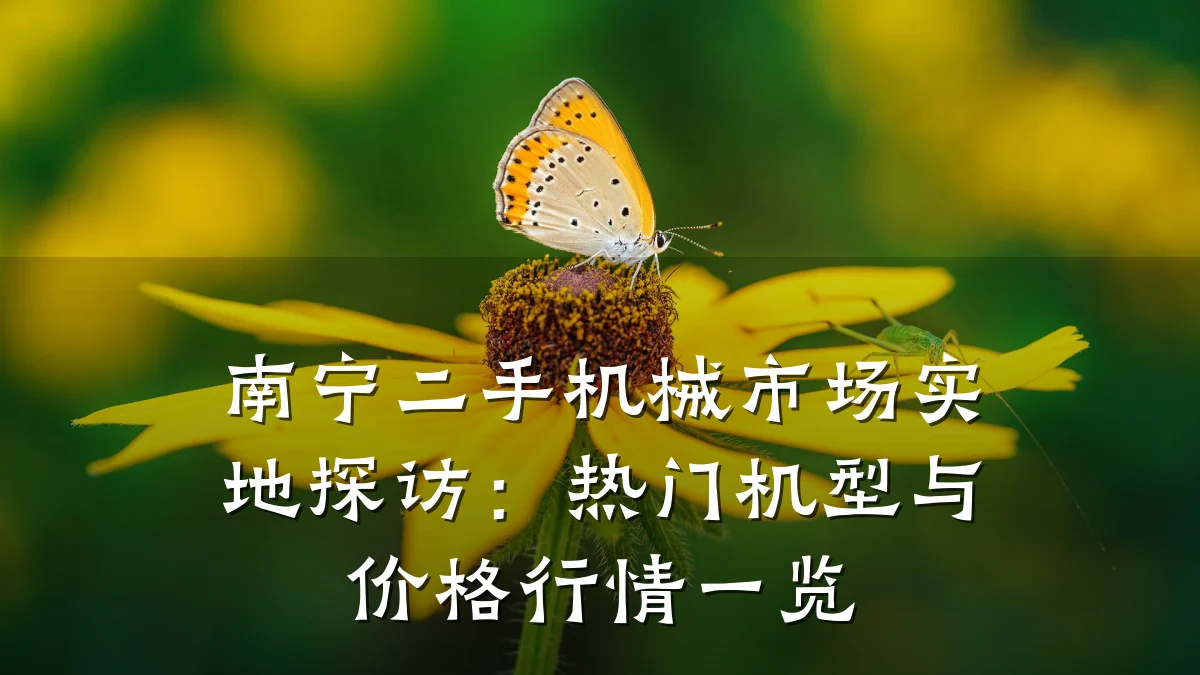 南宁二手机械市场实地探访：热门机型与价格行情一览