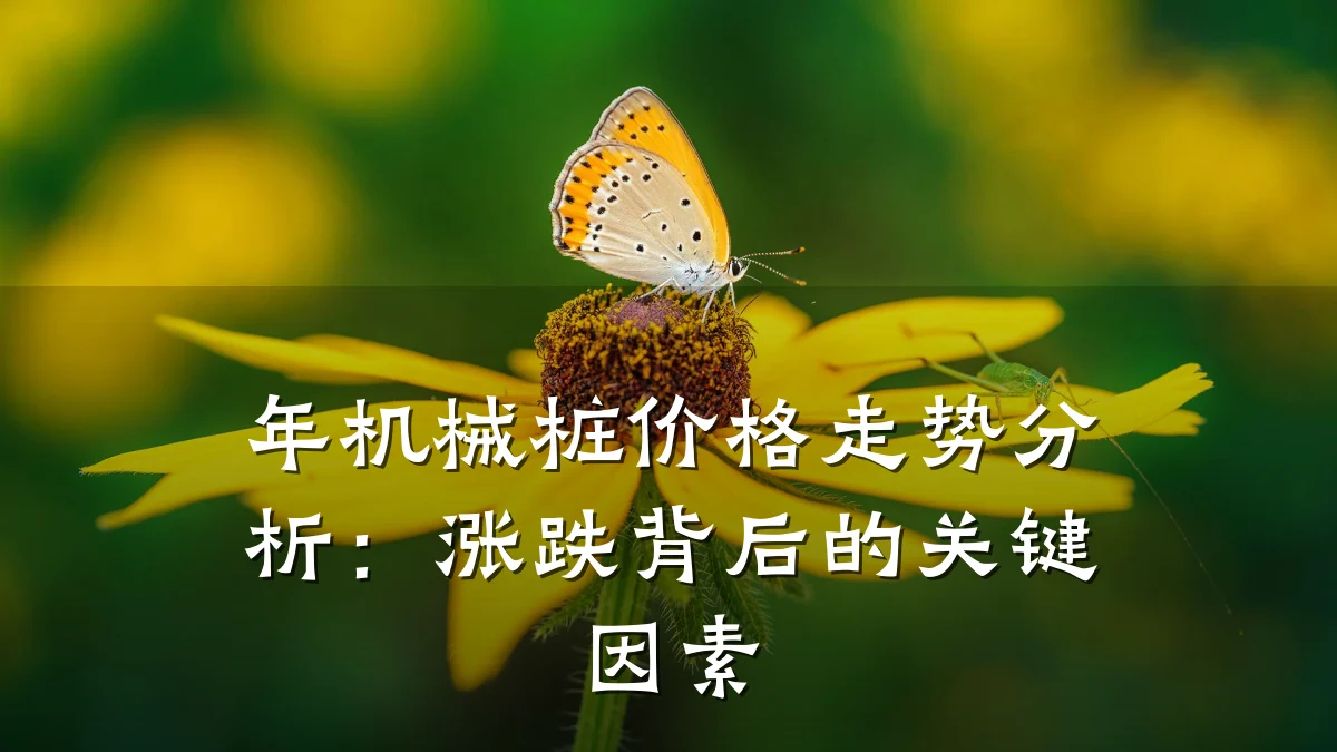 年机械桩价格走势分析：涨跌背后的关键因素