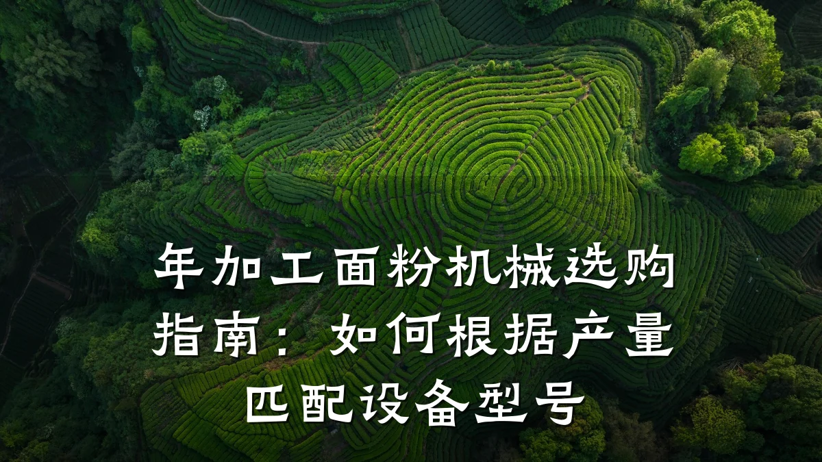 年加工面粉机械选购指南：如何根据产量匹配设备型号