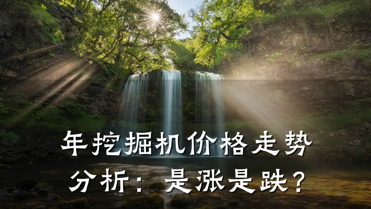 年挖掘机价格走势分析：是涨是跌？