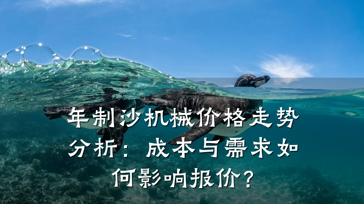 年制沙机械价格走势分析：成本与需求如何影响报价？