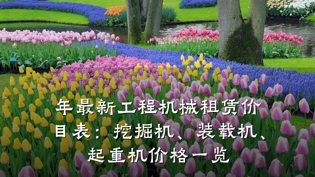 年最新工程机械租赁价目表：挖掘机、装载机、起重机价格一览