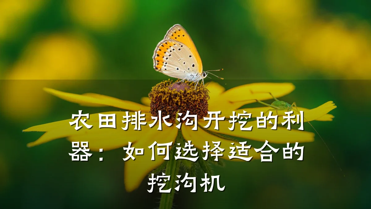 农田排水沟开挖的利器：如何选择适合的挖沟机
