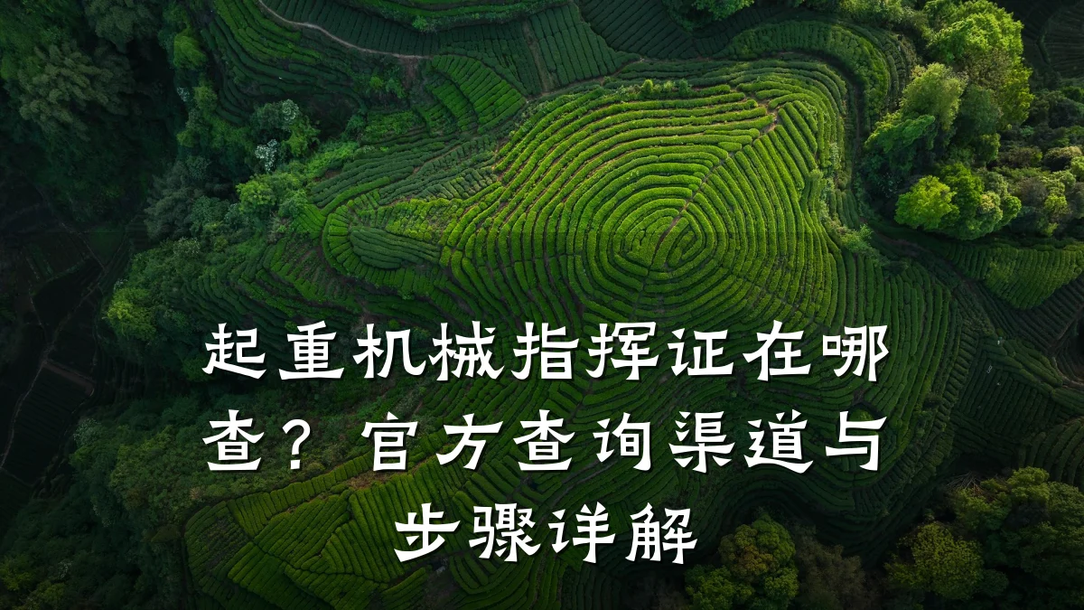 起重机械指挥证在哪查？官方查询渠道与步骤详解