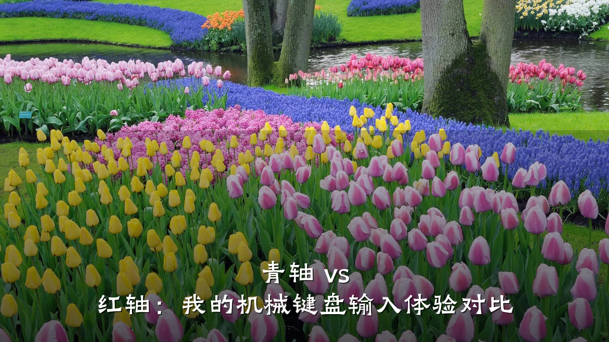 青轴 vs 红轴：我的机械键盘输入体验对比