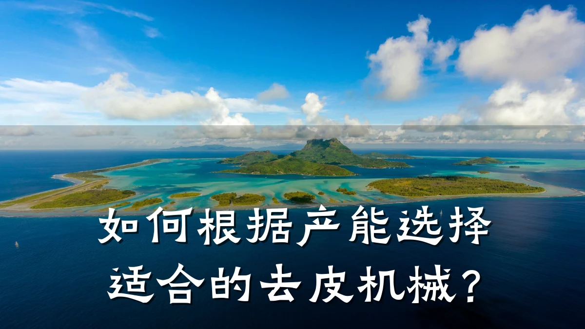 如何根据产能选择适合的去皮机械？