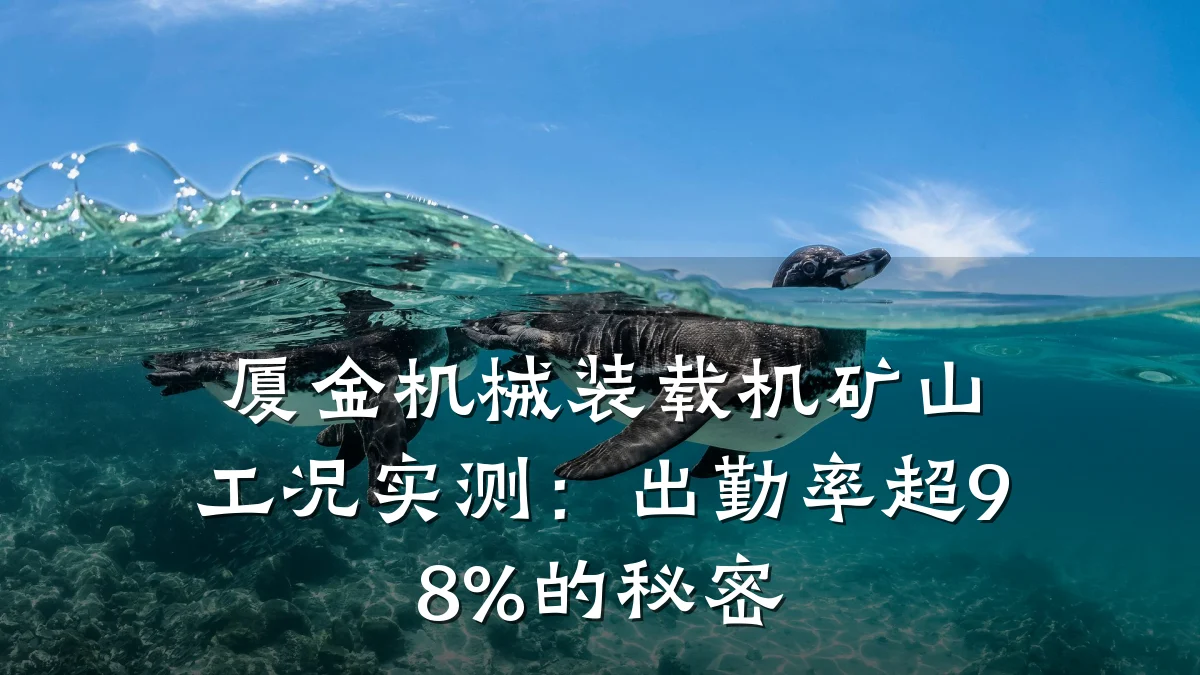 厦金机械装载机矿山工况实测：出勤率超98%的秘密