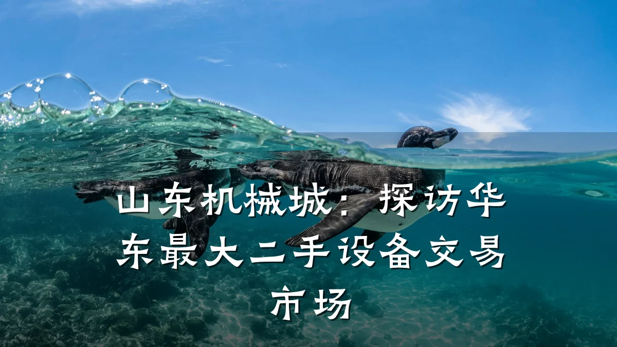 山东机械城：探访华东最大二手设备交易市场