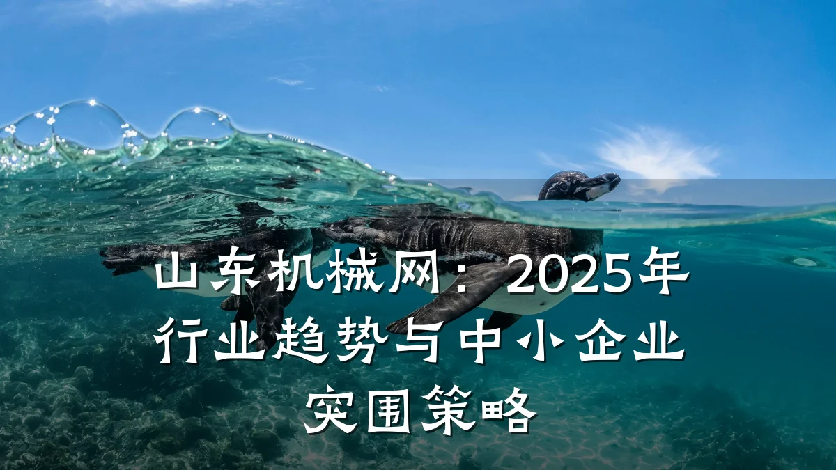 山东机械网：2025年行业趋势与中小企业突围策略