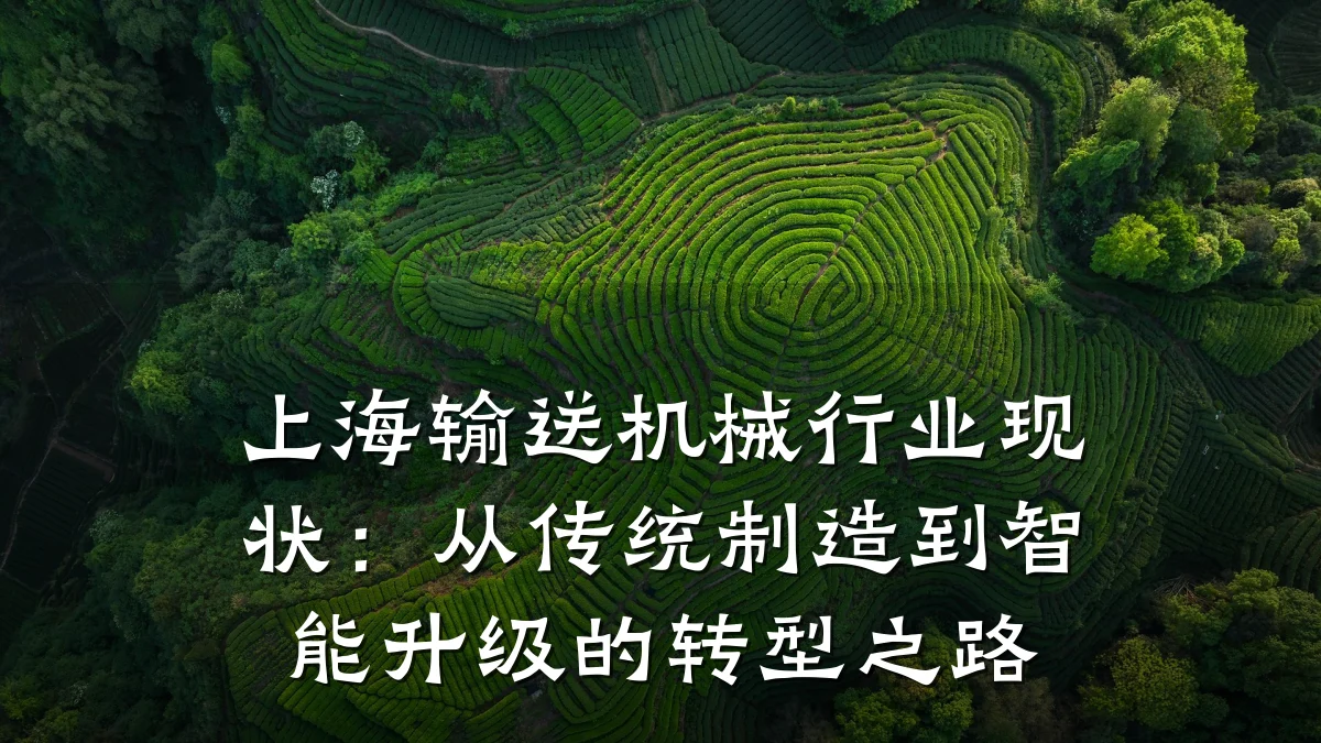 上海输送机械行业现状：从传统制造到智能升级的转型之路