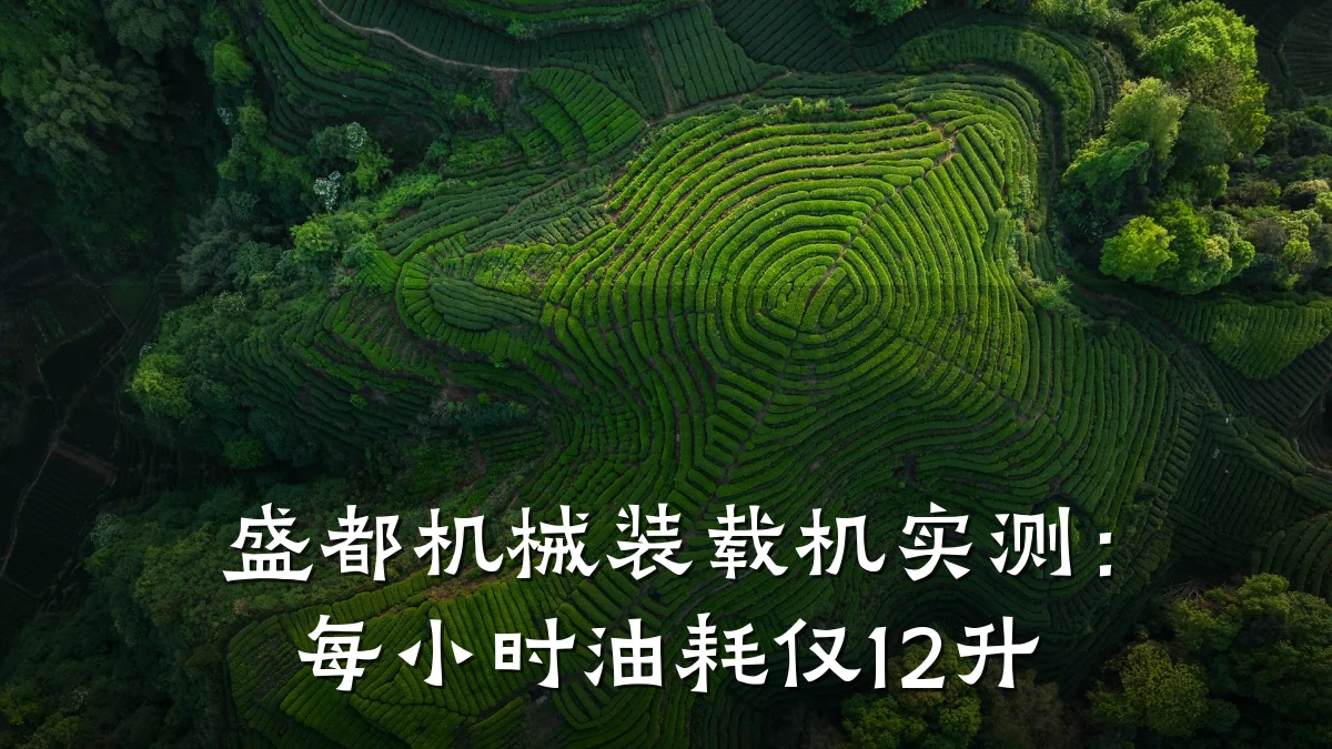 盛都机械装载机实测:每小时油耗仅12升