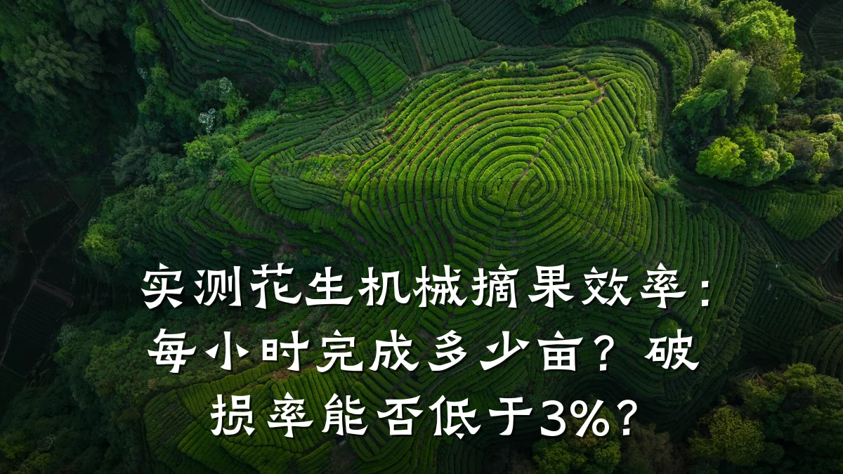 实测花生机械摘果效率：每小时完成多少亩？破损率能否低于3%？