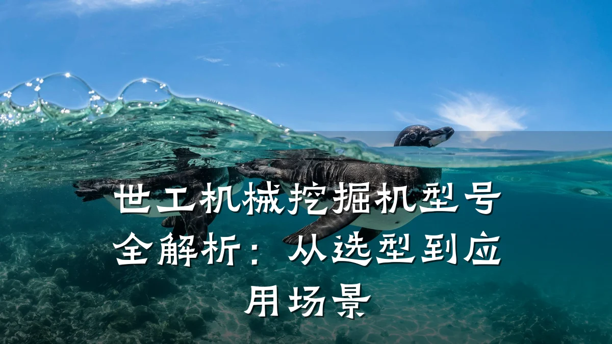 世工机械挖掘机型号全解析:从选型到应用场景