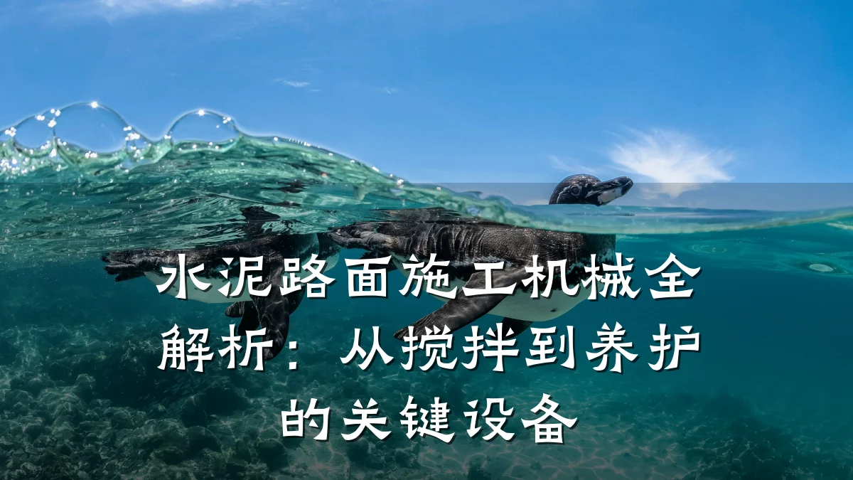 水泥路面施工机械全解析：从搅拌到养护的关键设备