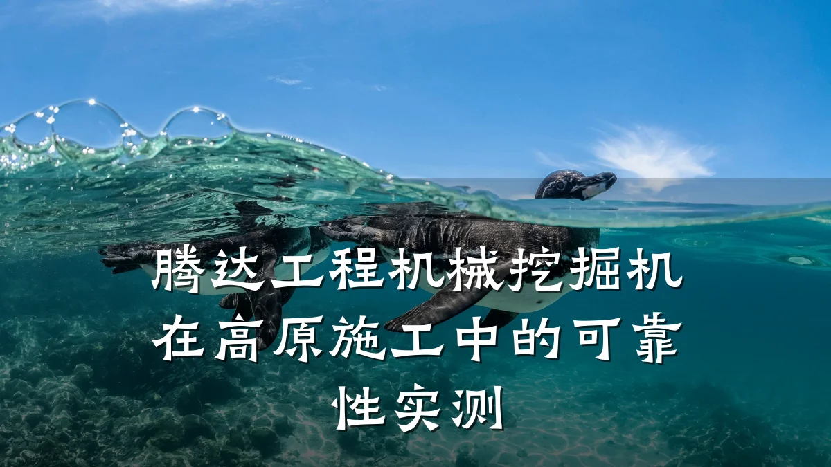 腾达工程机械挖掘机在高原施工中的可靠性实测