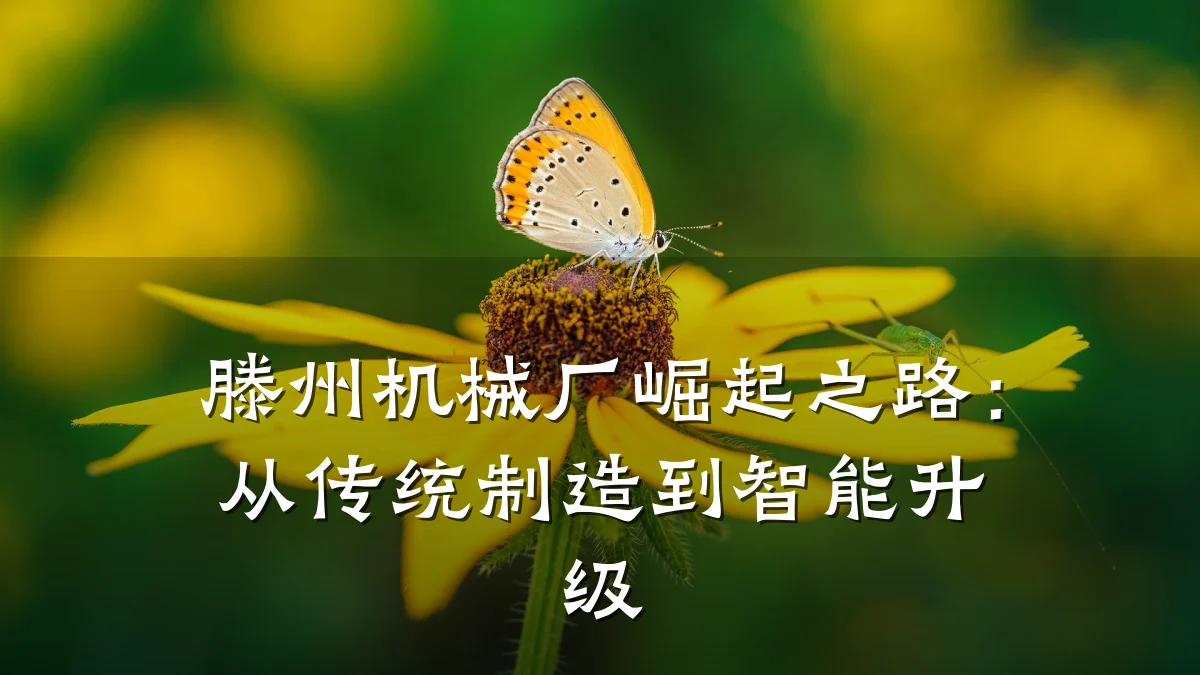 滕州机械厂崛起之路：从传统制造到智能升级