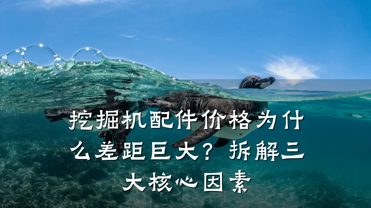 挖掘机配件价格为什么差距巨大?拆解三大核心因素