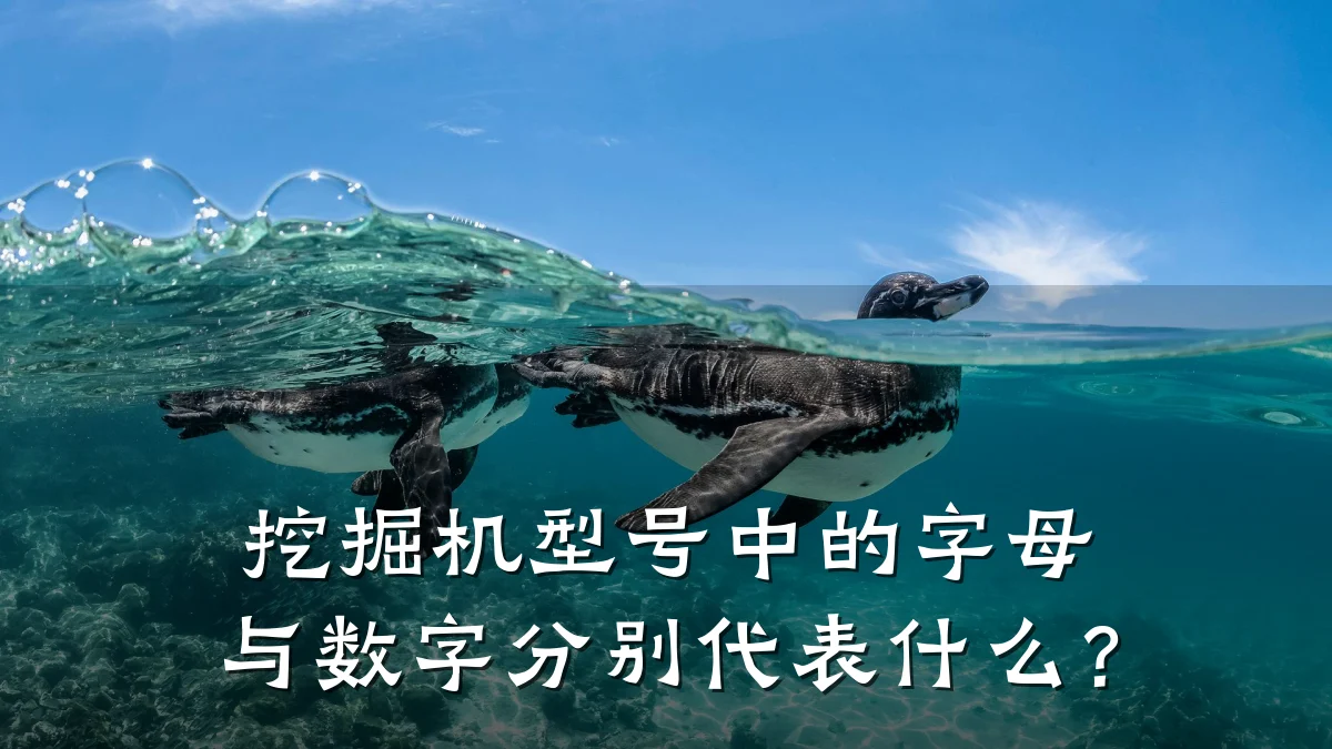 挖掘机型号中的字母与数字分别代表什么?