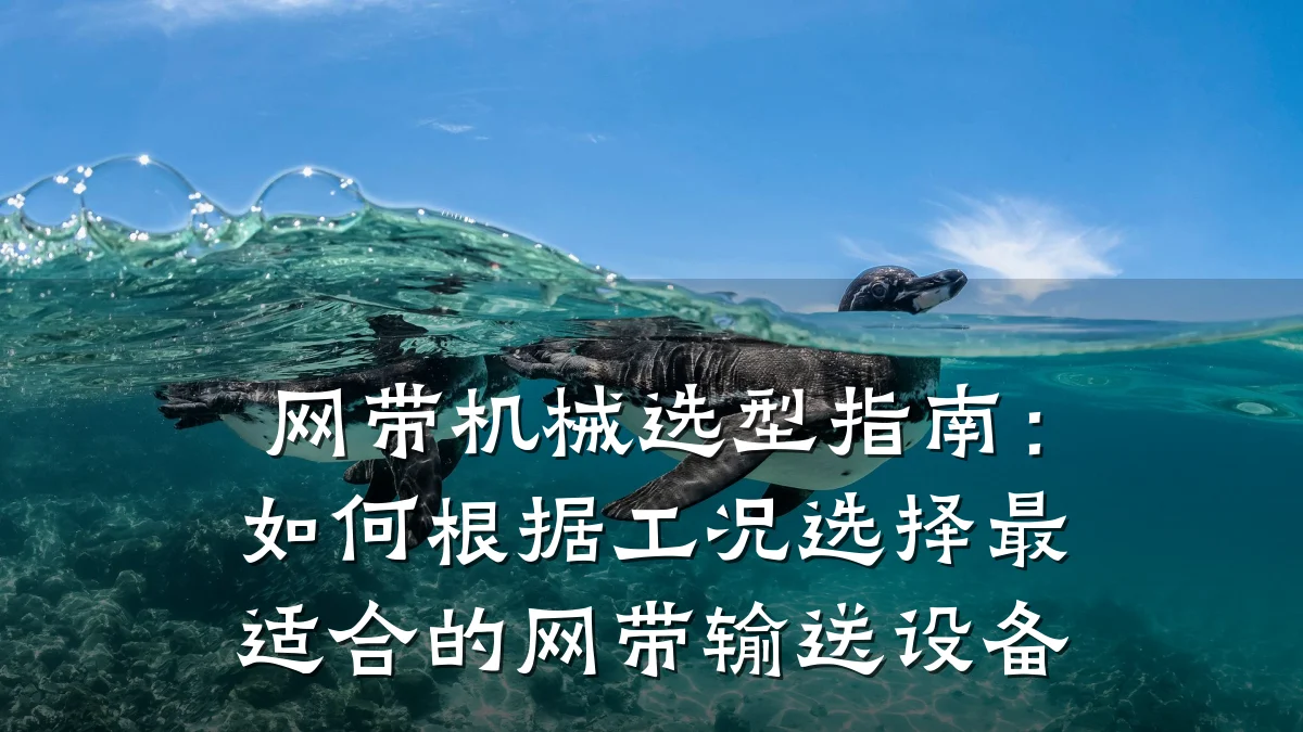 网带机械选型指南：如何根据工况选择最适合的网带输送设备