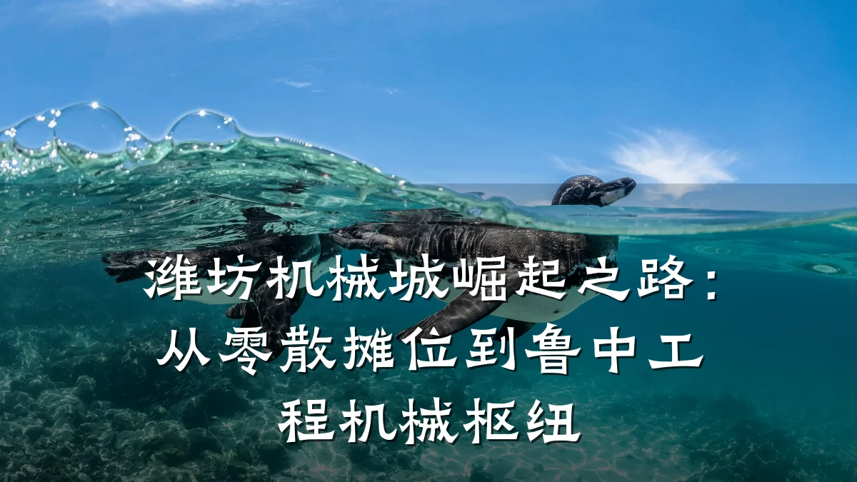 潍坊机械城崛起之路：从零散摊位到鲁中工程机械枢纽