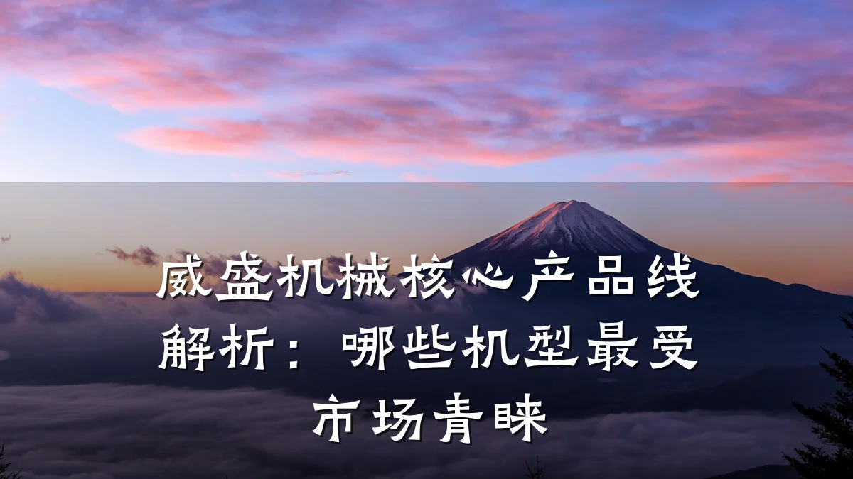 威盛机械核心产品线解析：哪些机型最受市场青睐