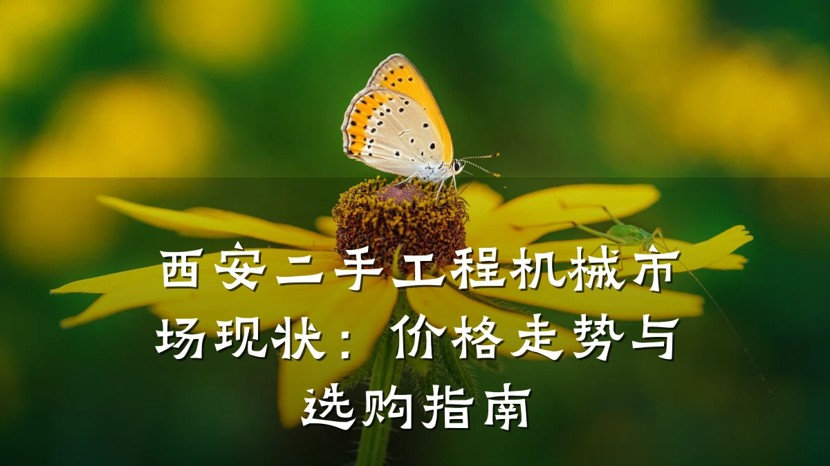 西安二手工程机械市场现状：价格走势与选购指南