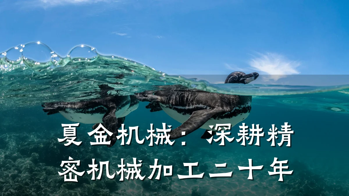 夏金机械：深耕精密机械加工二十年