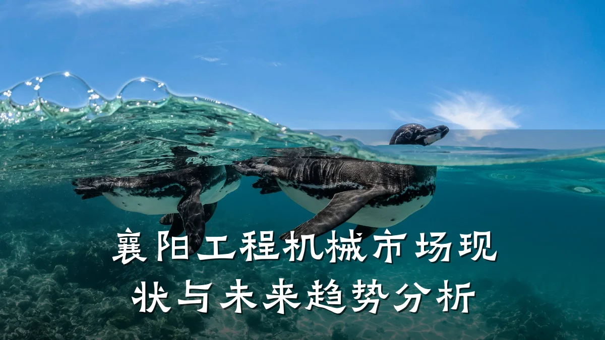 襄阳工程机械市场现状与未来趋势分析