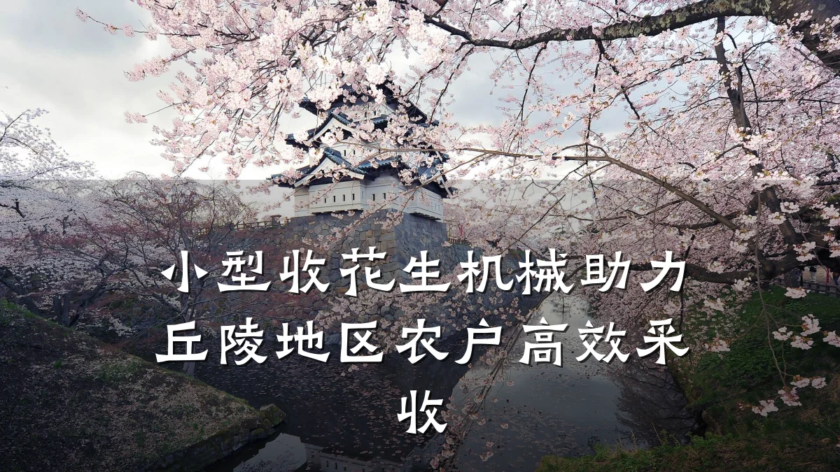 小型收花生机械助力丘陵地区农户高效采收