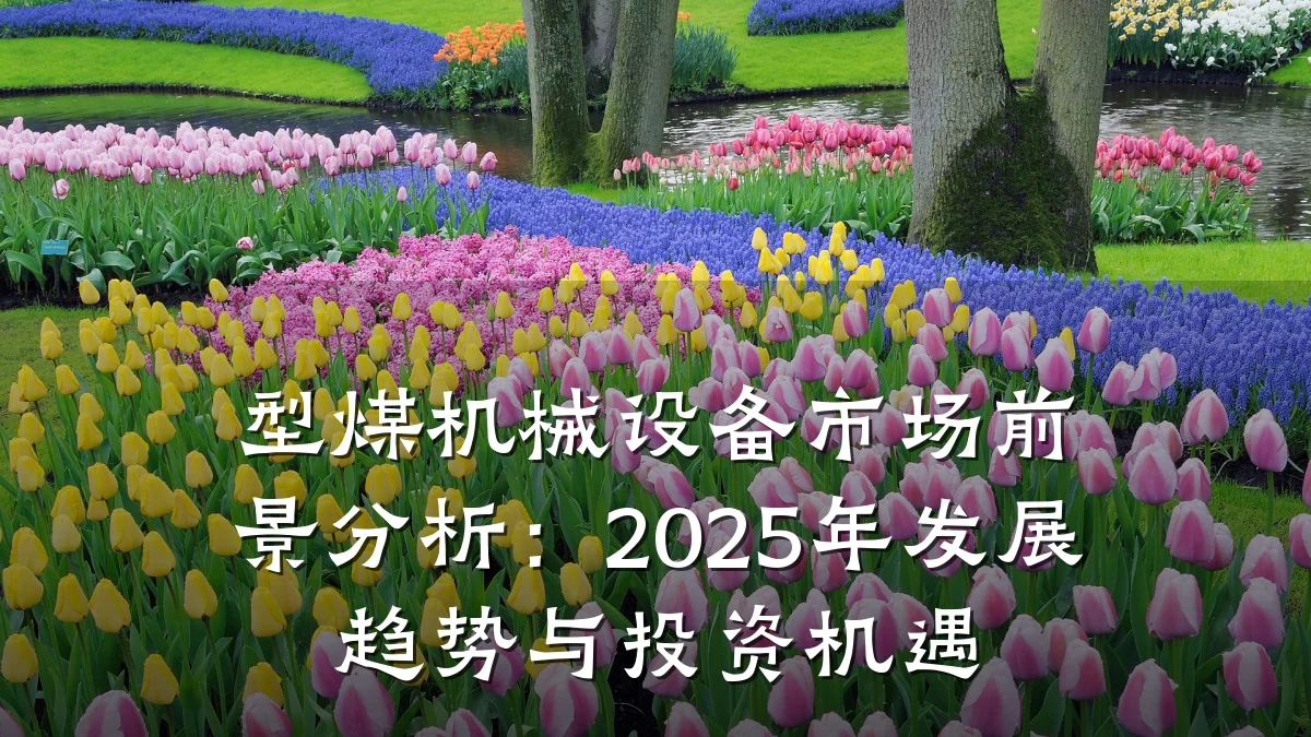 型煤机械设备市场前景分析：2025年发展趋势与投资机遇