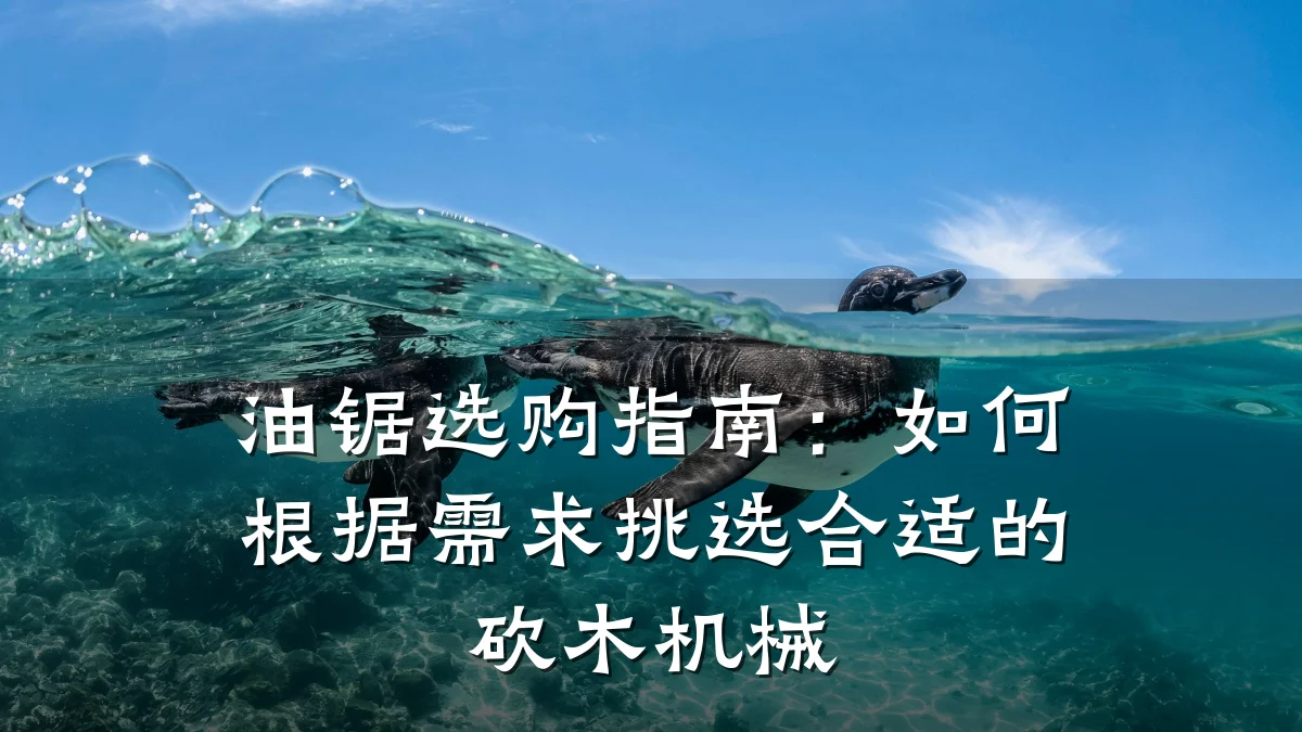 油锯选购指南：如何根据需求挑选合适的砍木机械