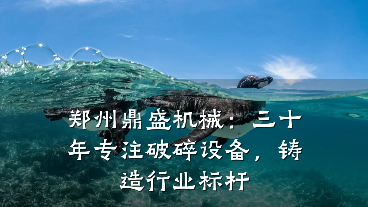 郑州鼎盛机械:三十年专注破碎设备,铸造行业标杆