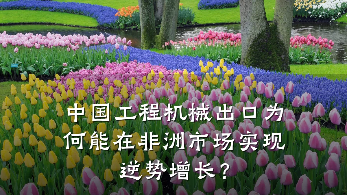 中国工程机械出口为何能在非洲市场实现逆势增长？