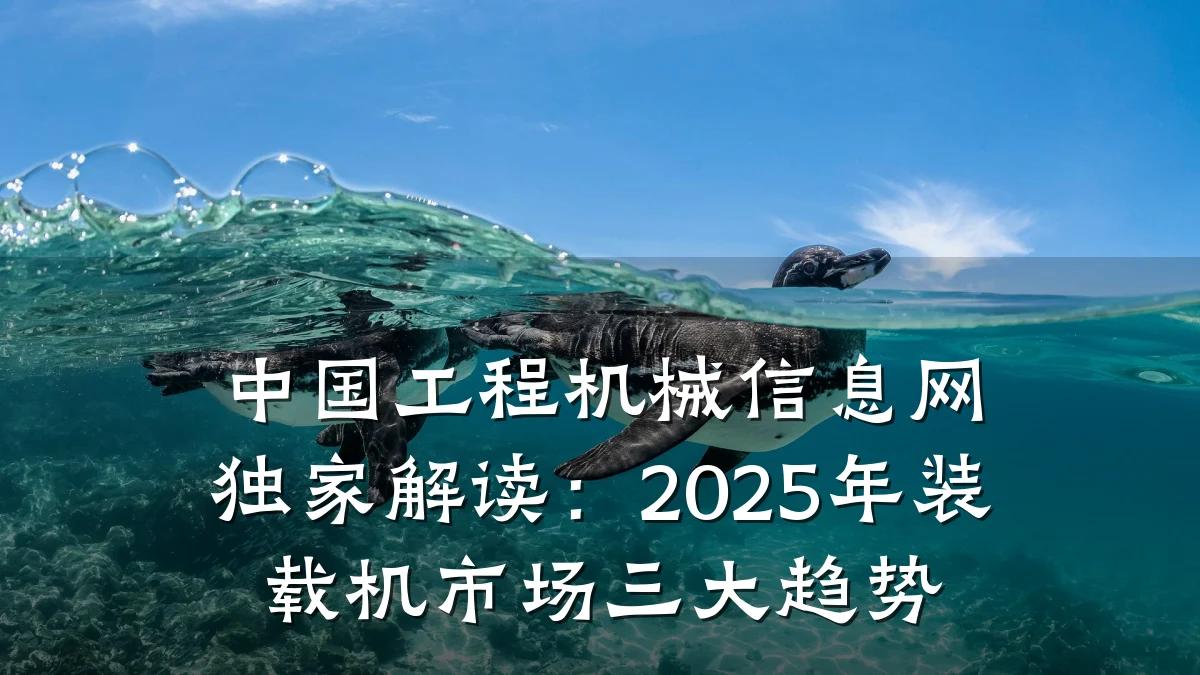 中国工程机械信息网独家解读:2025年装载机市场三大趋势