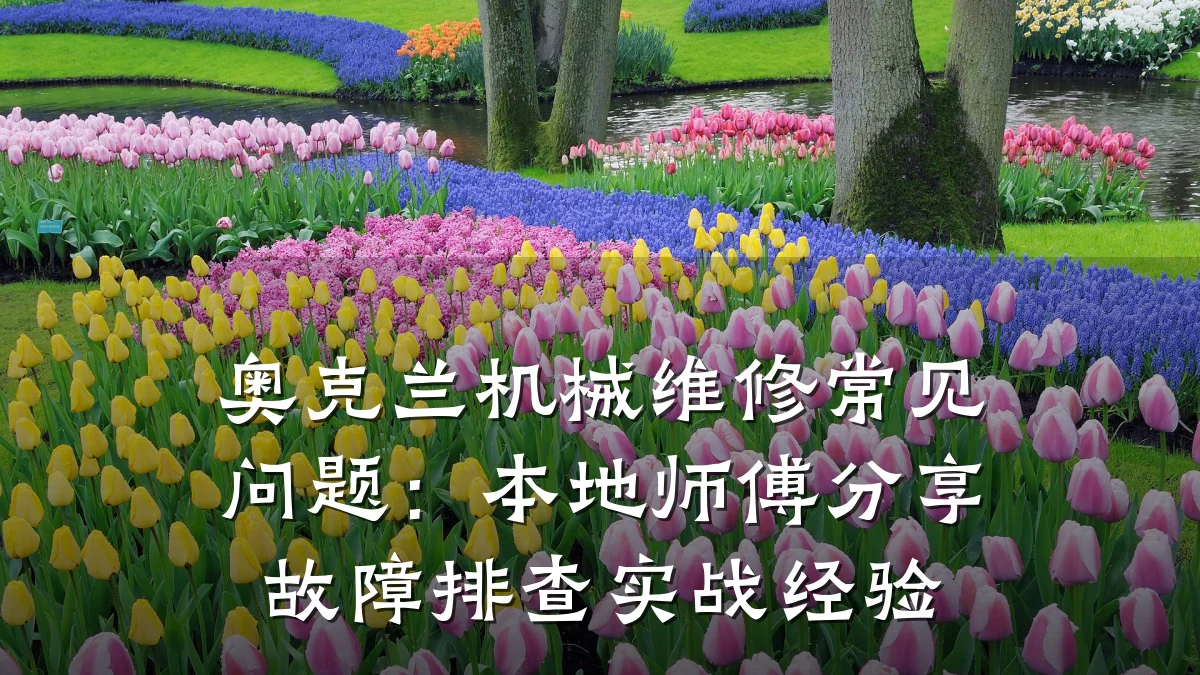 奥克兰机械维修常见问题:本地师傅分享故障排查实战经验