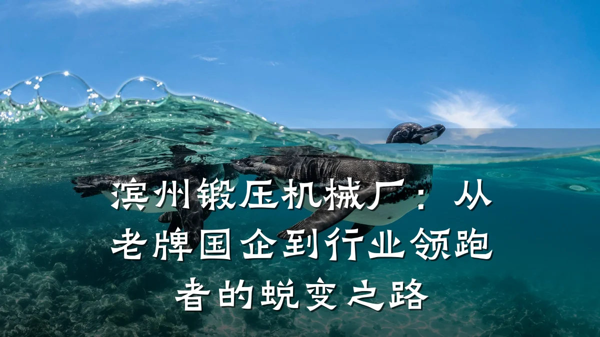 滨州锻压机械厂:从老牌国企到行业领跑者的蜕变之路