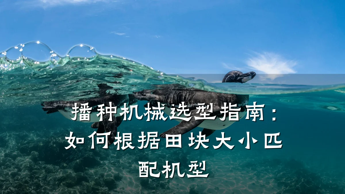 播种机械选型指南:如何根据田块大小匹配机型