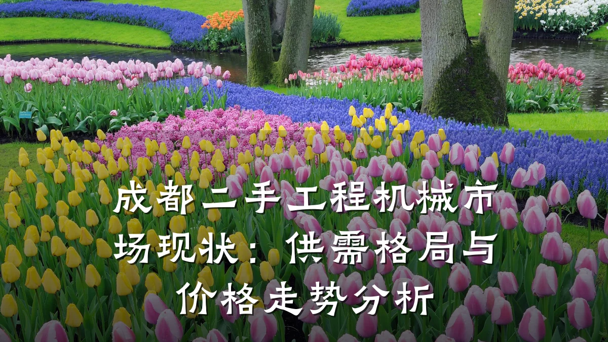 成都二手工程机械市场现状:供需格局与价格走势分析
