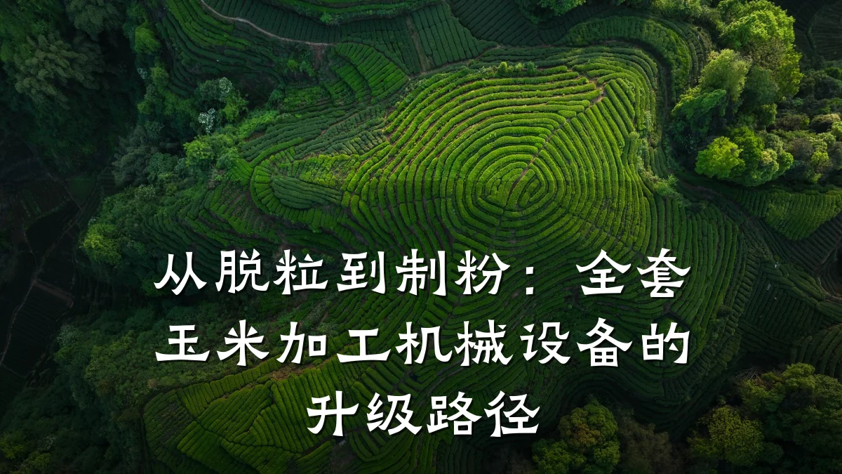 从脱粒到制粉:全套玉米加工机械设备的升级路径