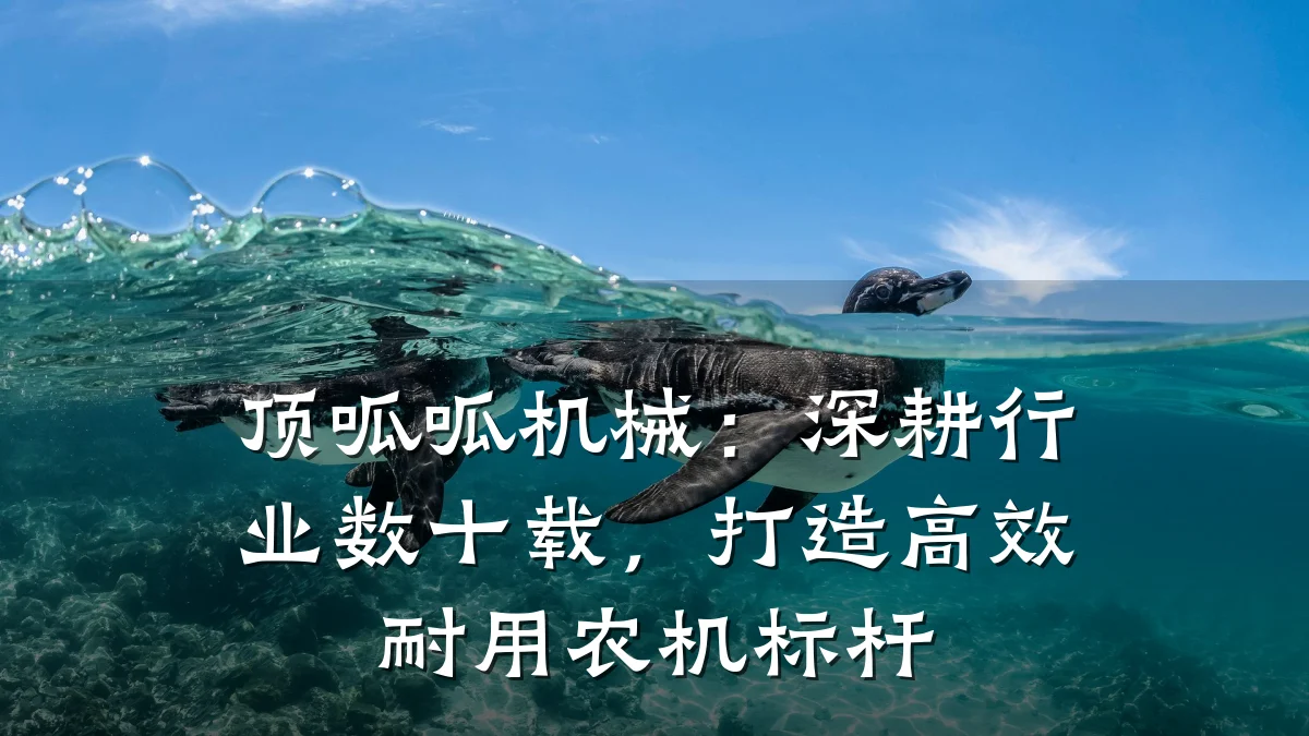 顶呱呱机械:深耕行业数十载,打造高效耐用农机标杆