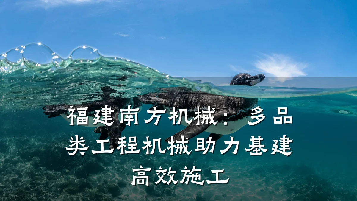 福建南方机械:多品类工程机械助力基建高效施工